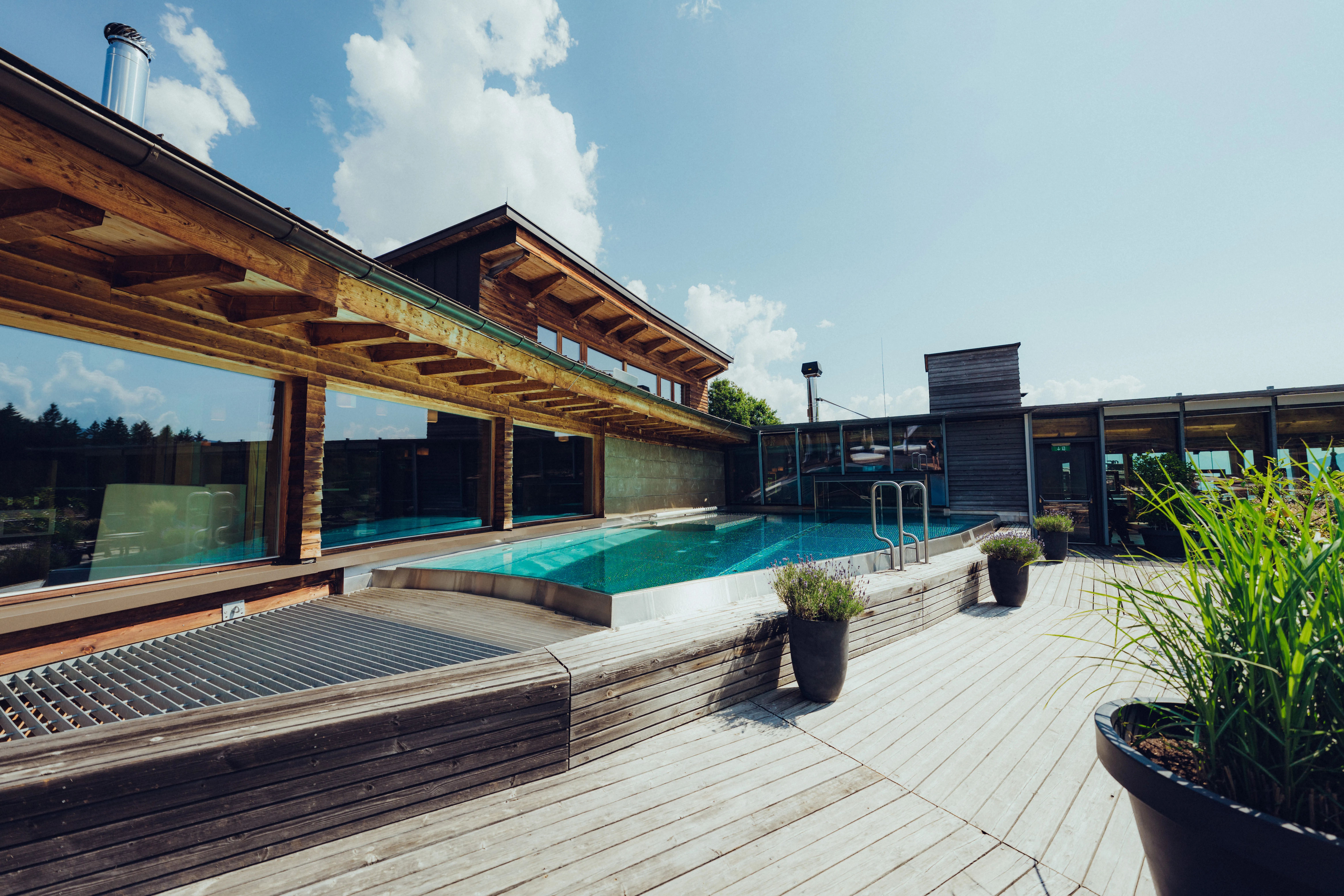 Moderne Terrasse mit Pool und Pflanzen.