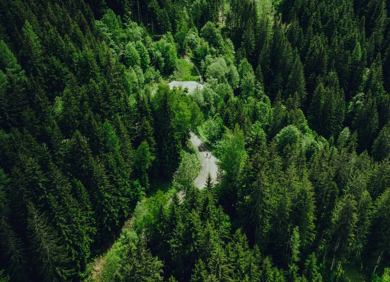 Luftaufnahme eines Waldgebiets mit kurvenreicher Straße