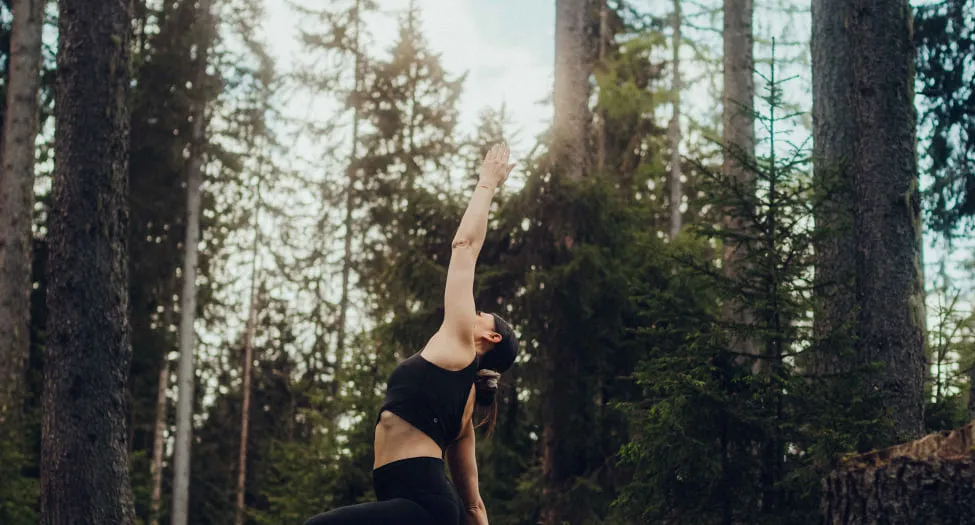Yogaübung in einem Wald mit hohen Bäumen