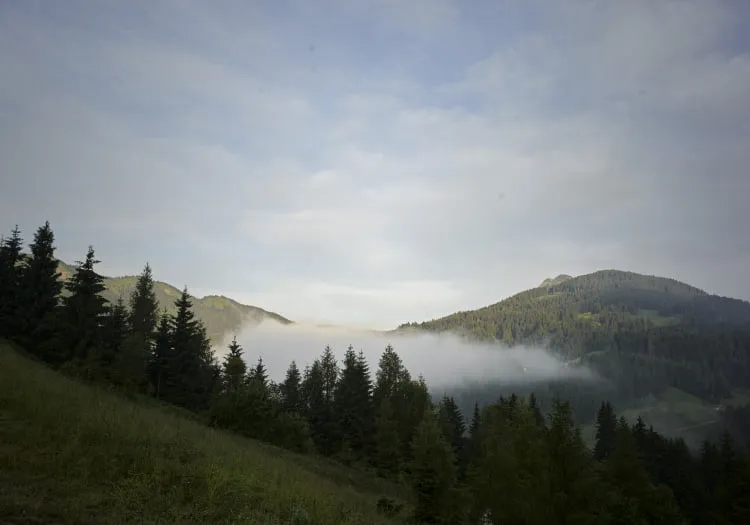 Berglandschaft mit Nebel und zahlreichen Bäumen