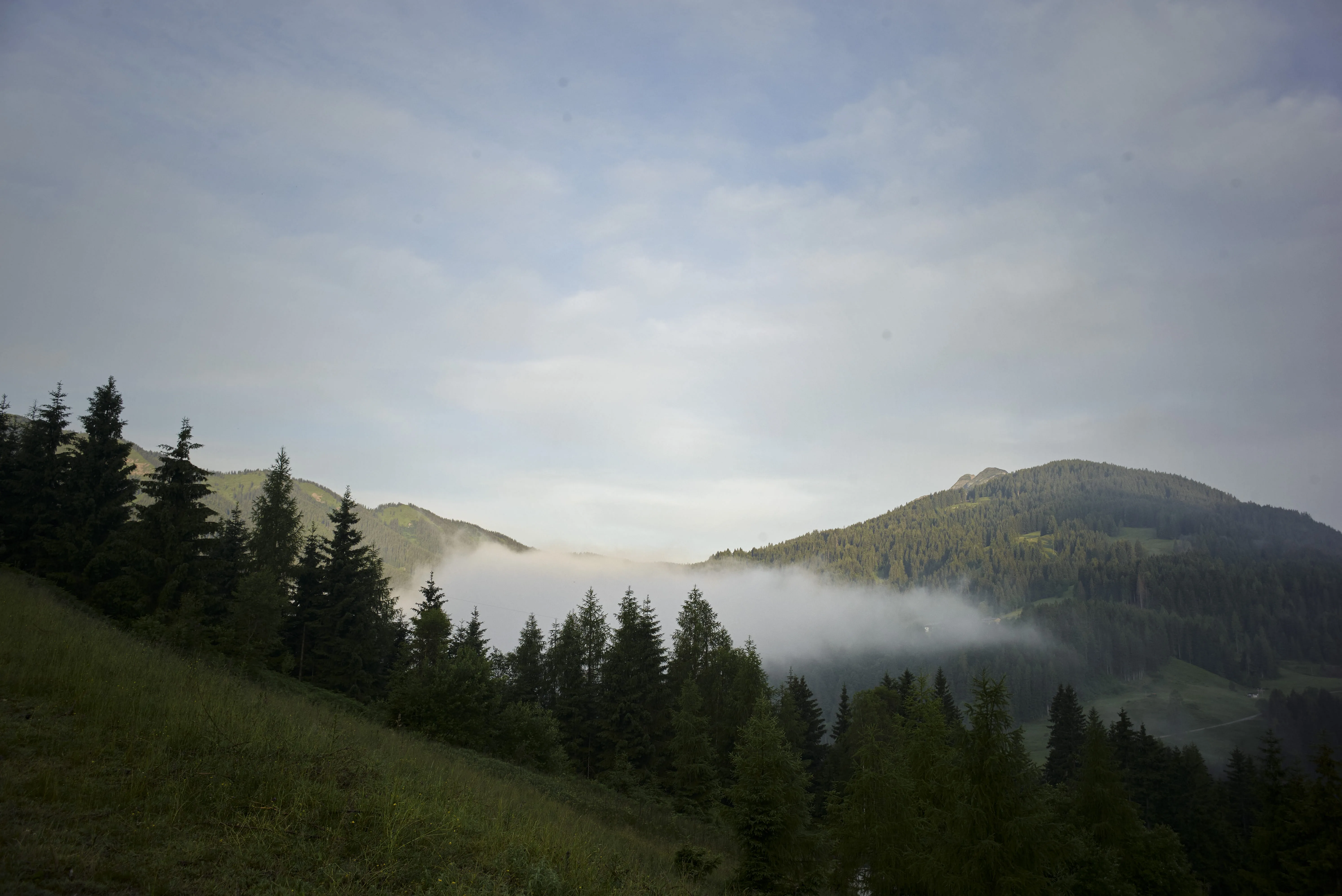Blick auf bewaldete Hügel und Nebel im Tal